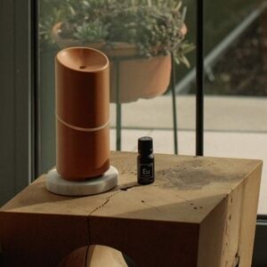 🆕 Vitruvi Move Diffuser Terracotta.